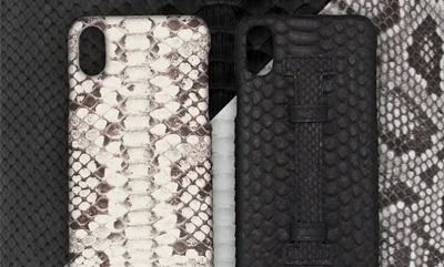Python Skin iPhone Case