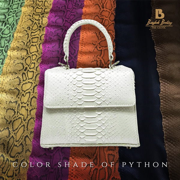 Python Skin Bag