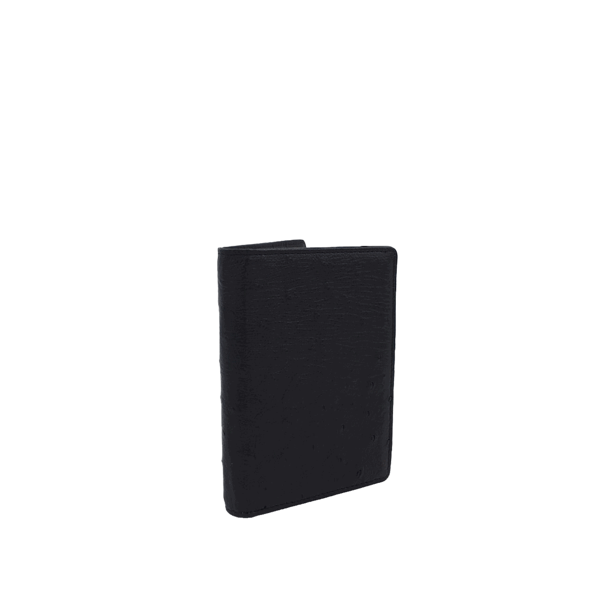 Dual Passport Holder