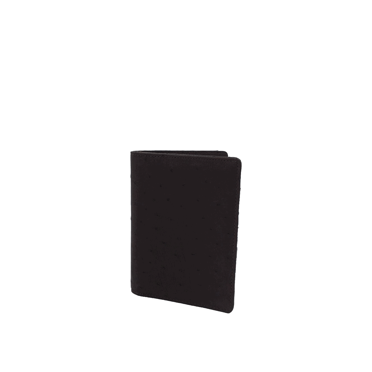 Dual Passport Holder