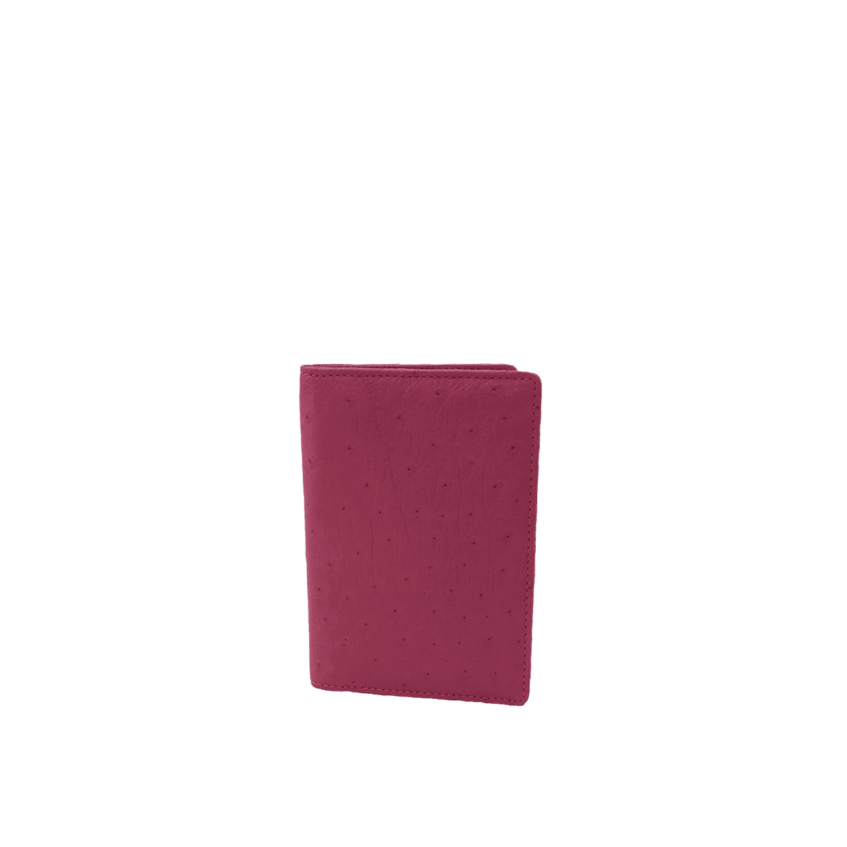 Dual Passport Holder