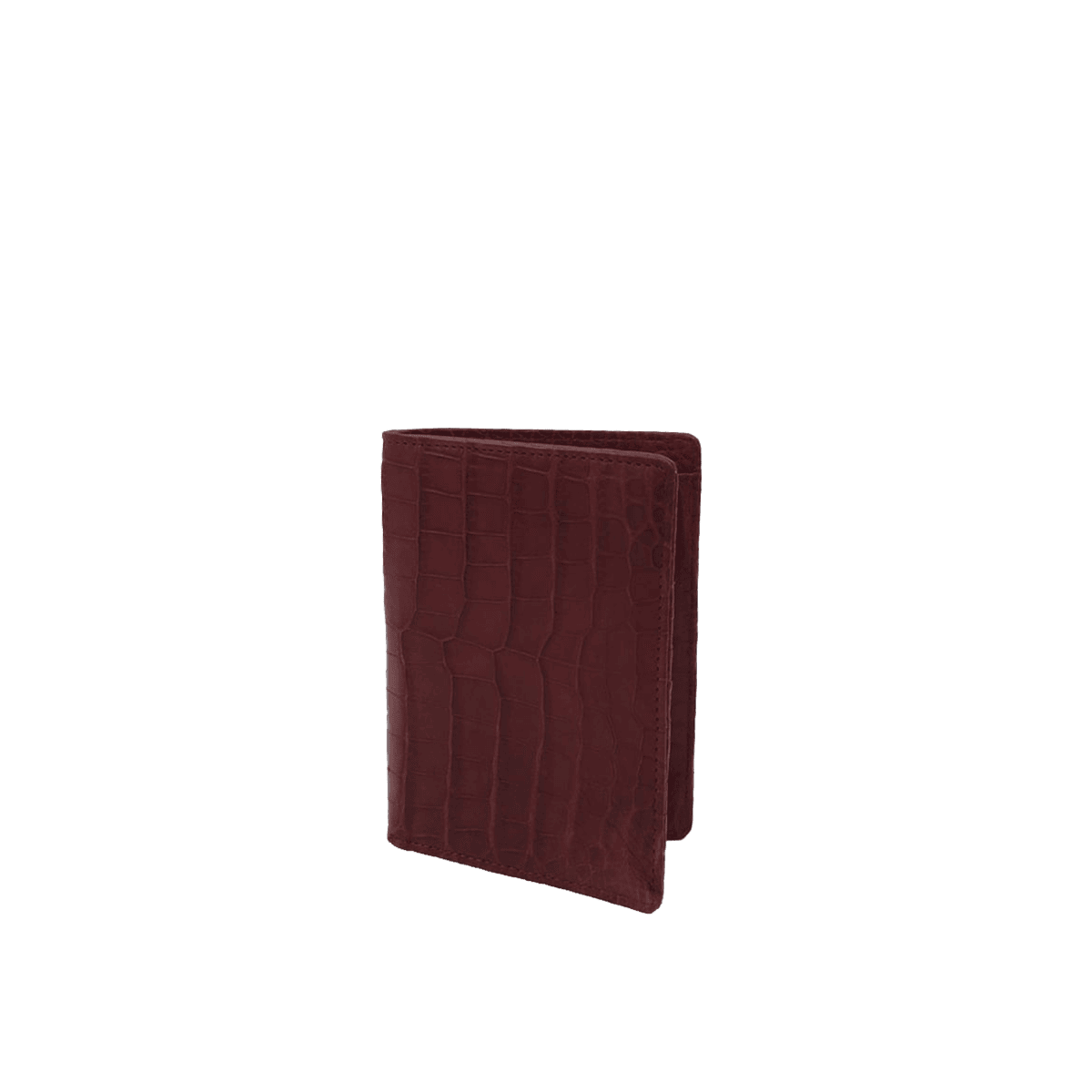 Dual Passport Holder