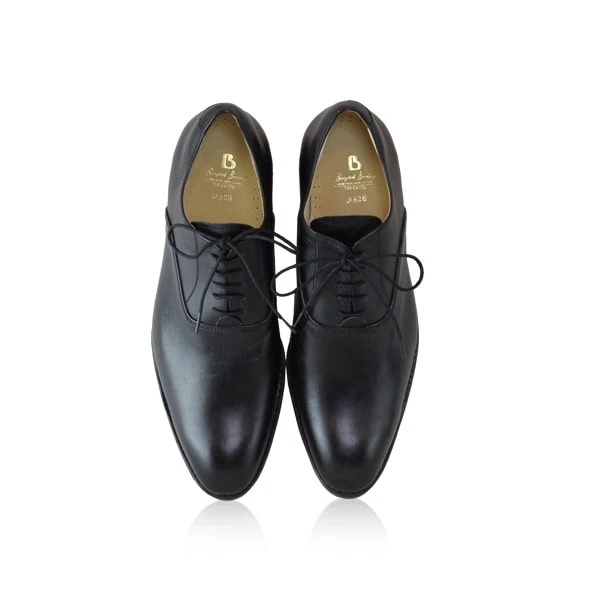 Leather Dress Shoes