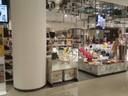 SIAM DISCOVERY