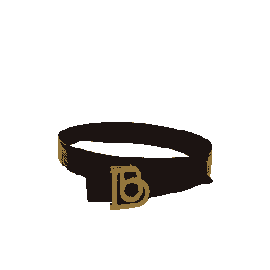 Crocodile Belt
