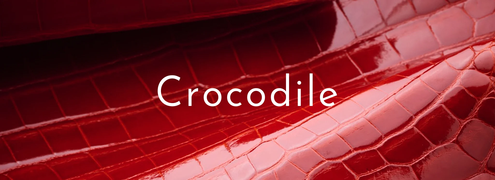 Crocodile Leather