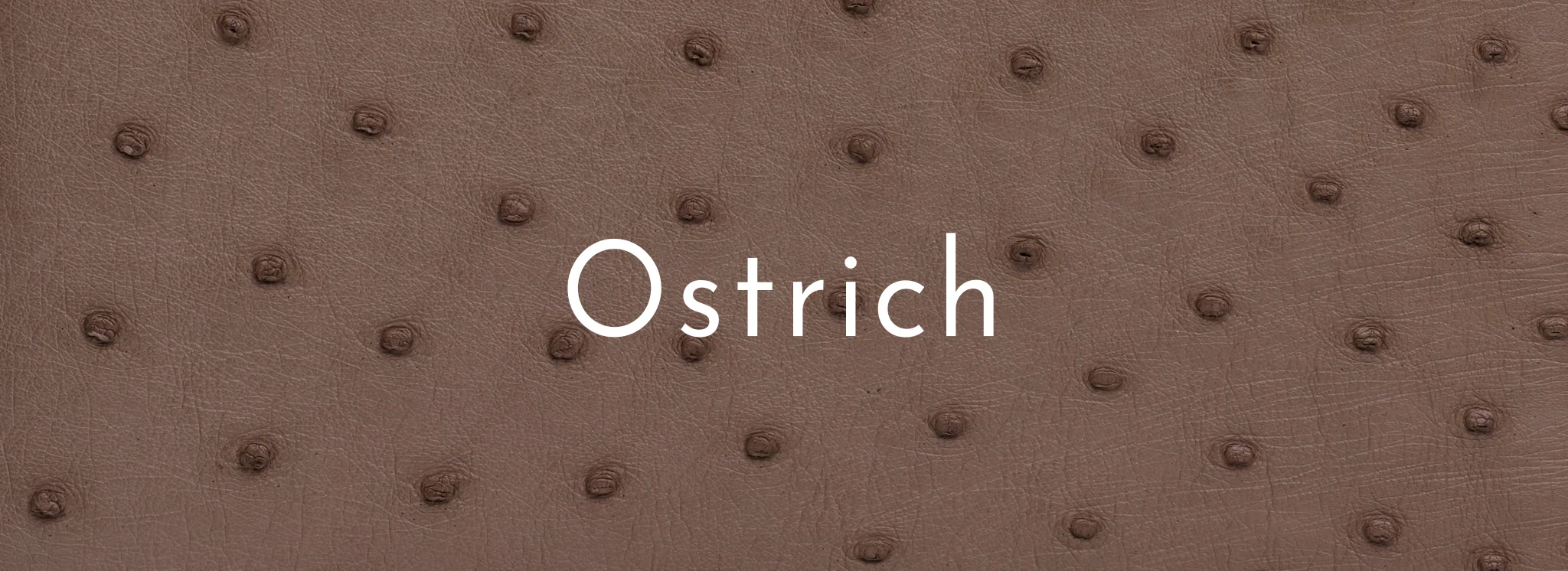 Ostrich Leather
