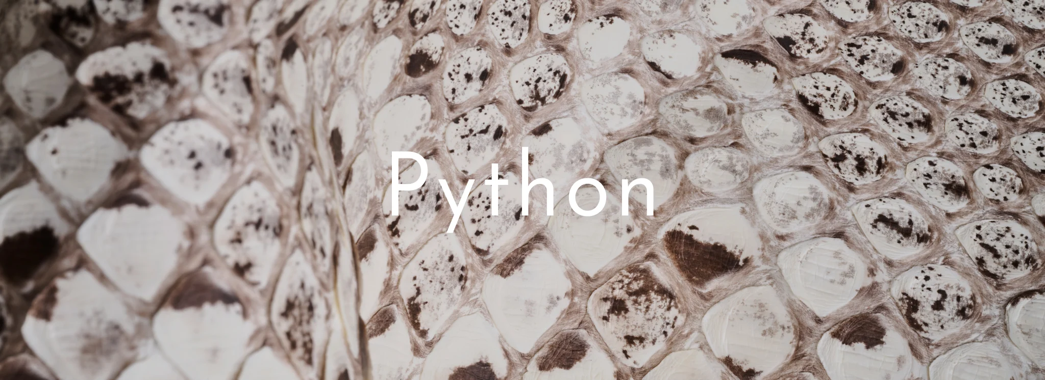 Python Leather