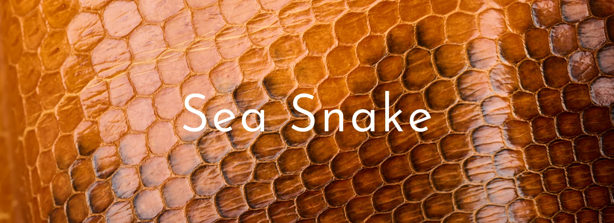 Sea Snake Leather