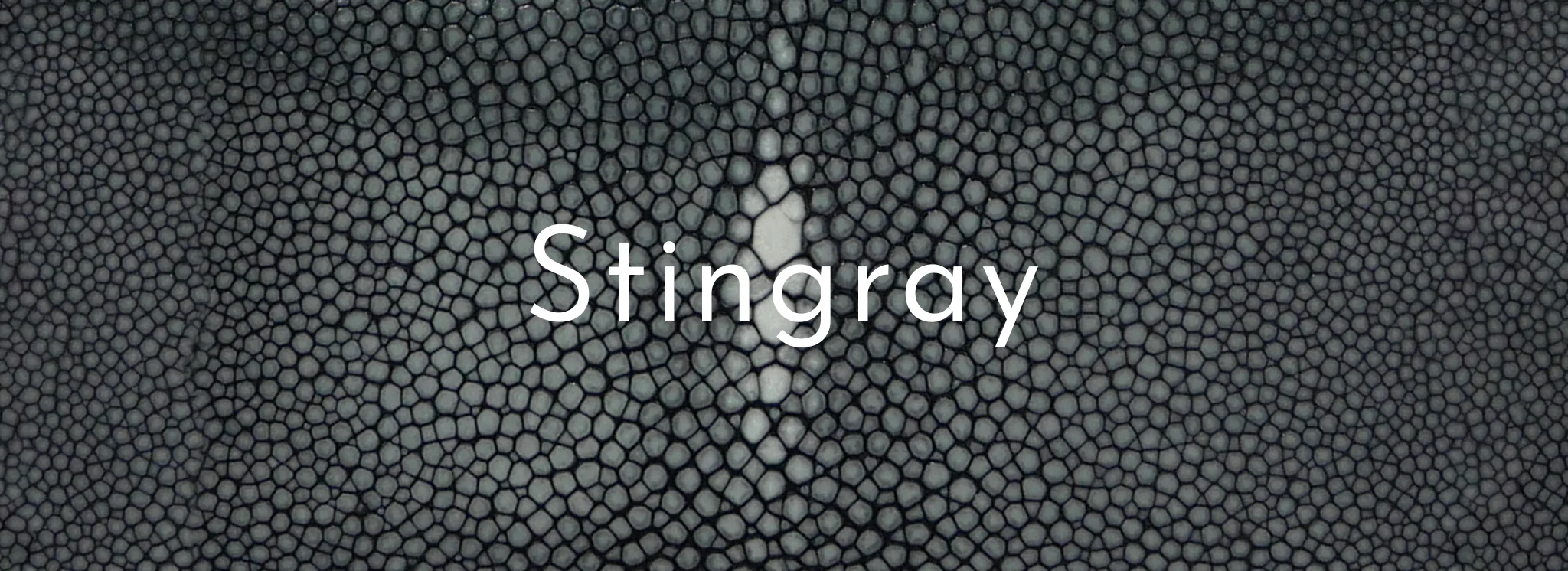 Stingray Leather