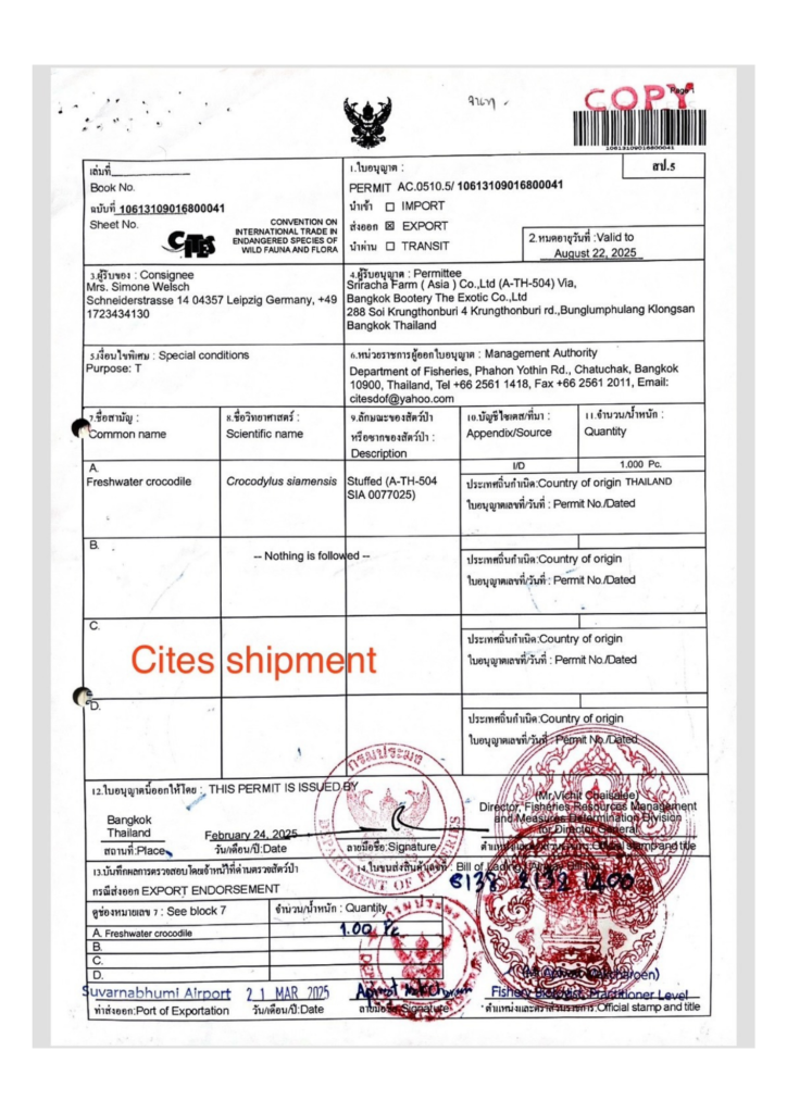 Cites Document