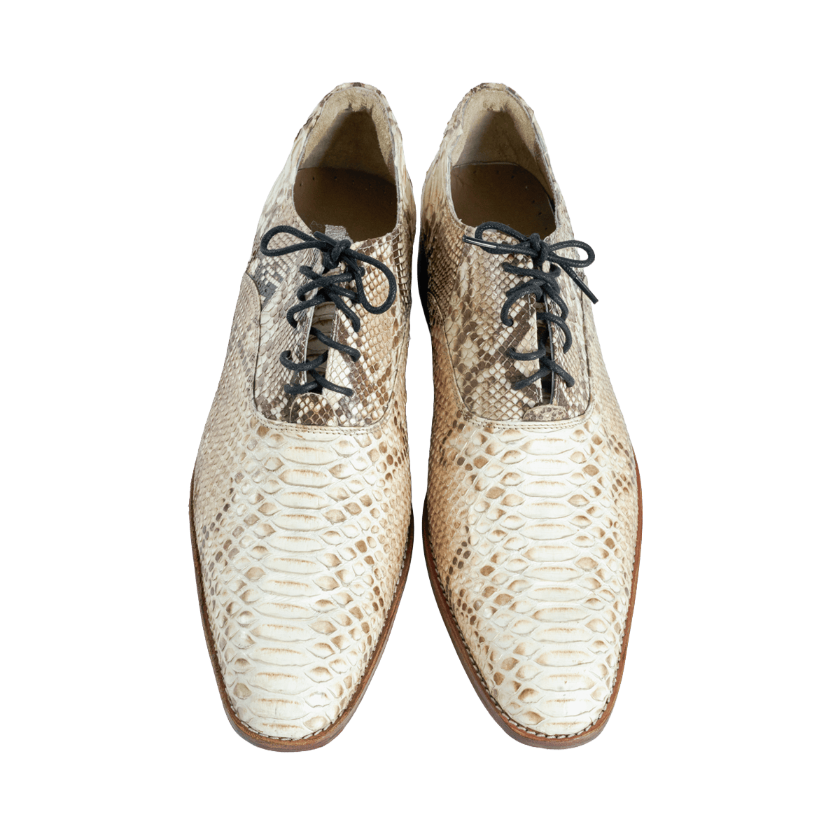 Python Dress Shoes