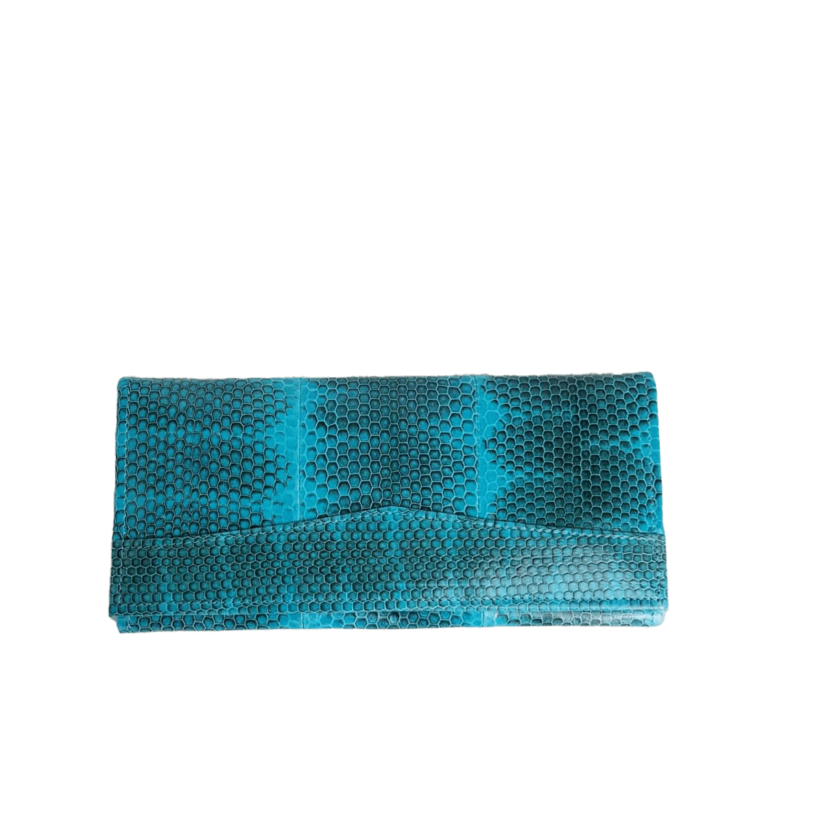 2 Pollar Sea Snake Turquoise & Black