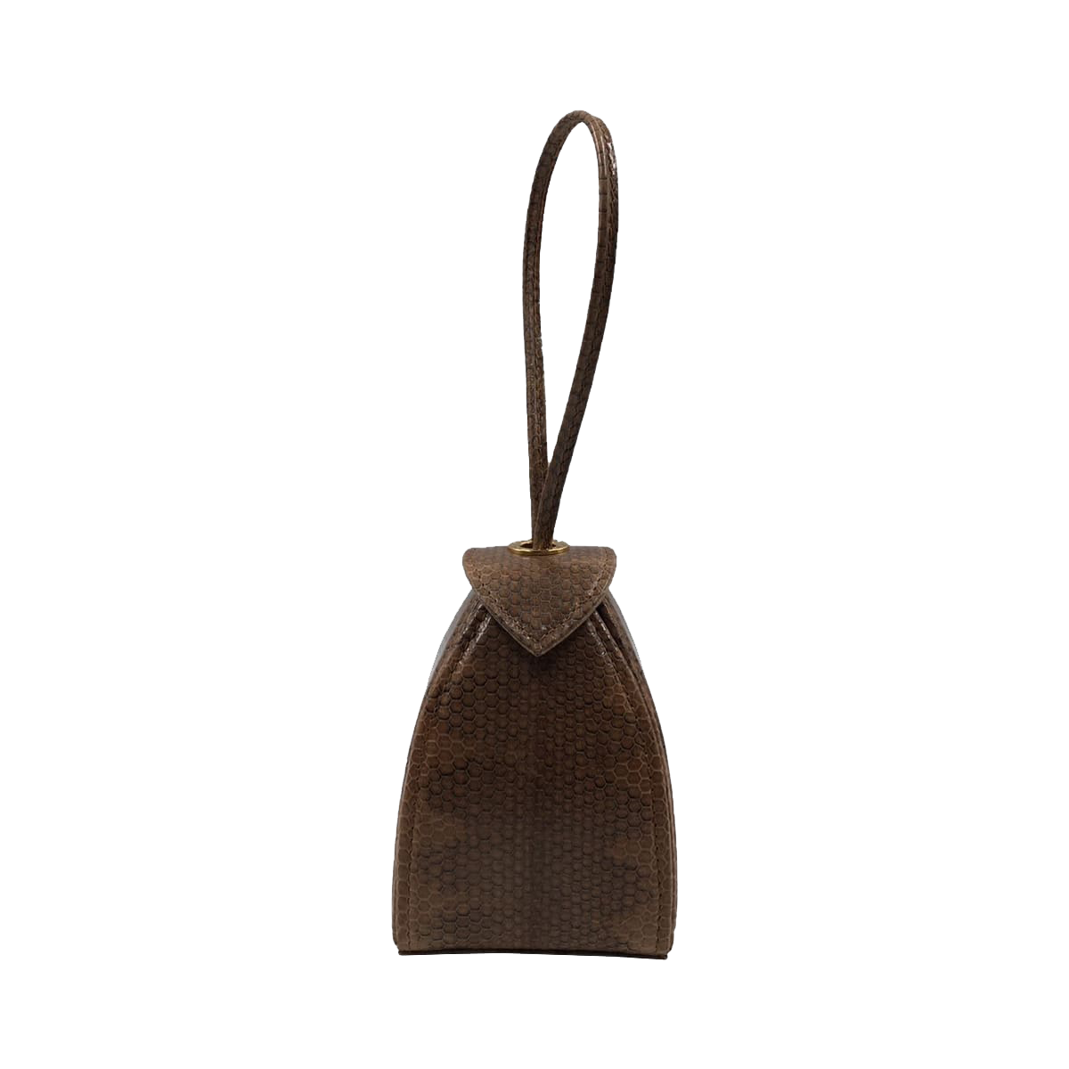 Baby Maria Sea Snake Beige