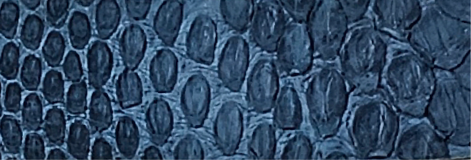 11-Dark Blue Jean ML-1301