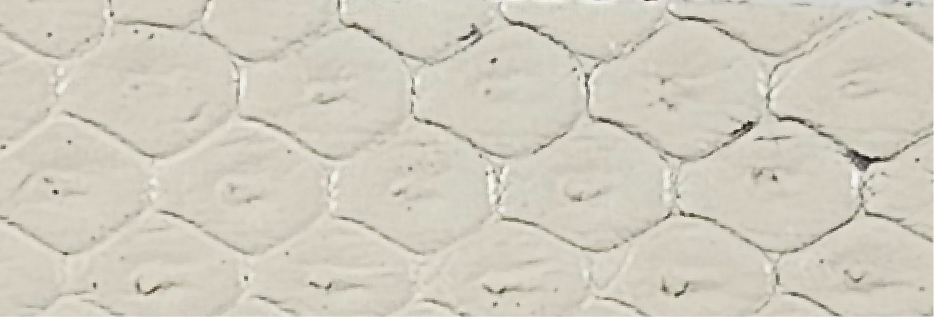 15-Pearl SP-0102