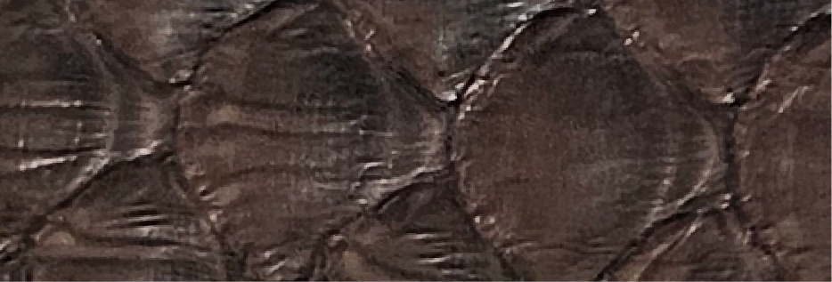 17-Brown SL-0401