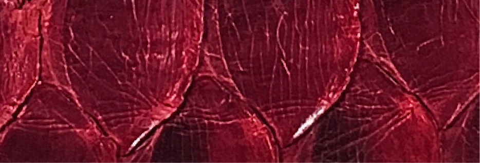 19-Red SL-1001