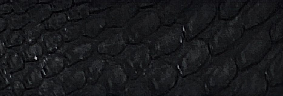2-Black MP-0301