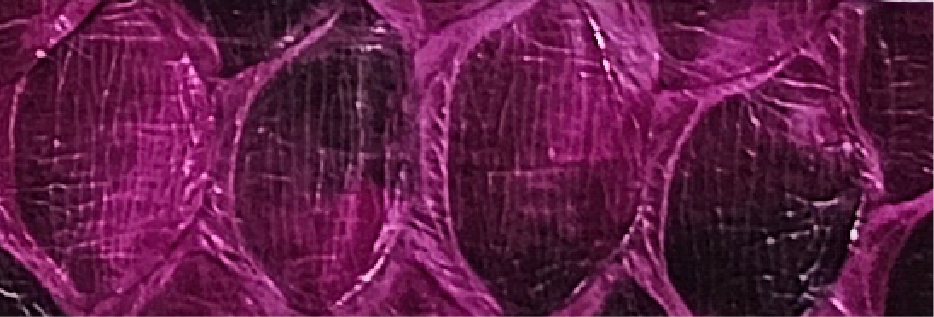 20-Dark Pink SL-1101