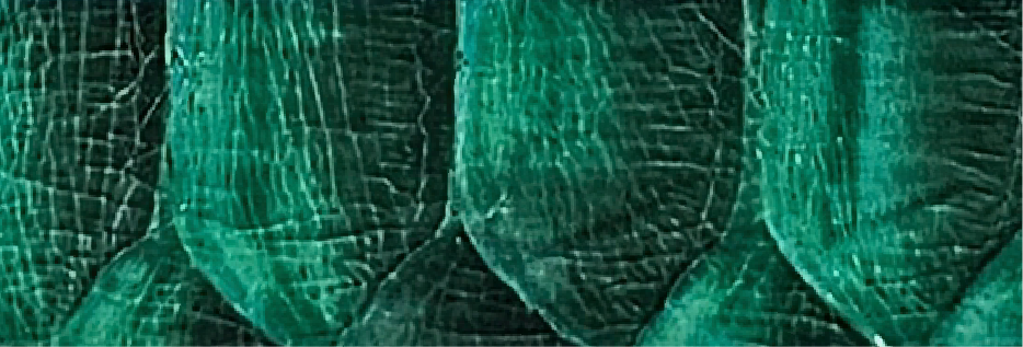 23-Green SL-1501