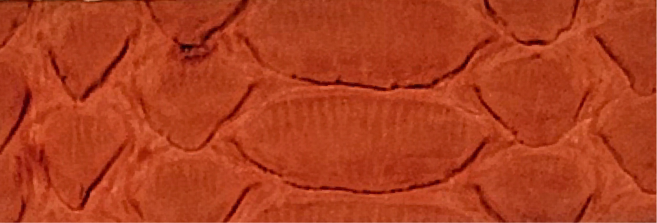 3-Light Orange MP-0901