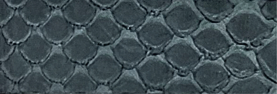 4-Gray M-0201