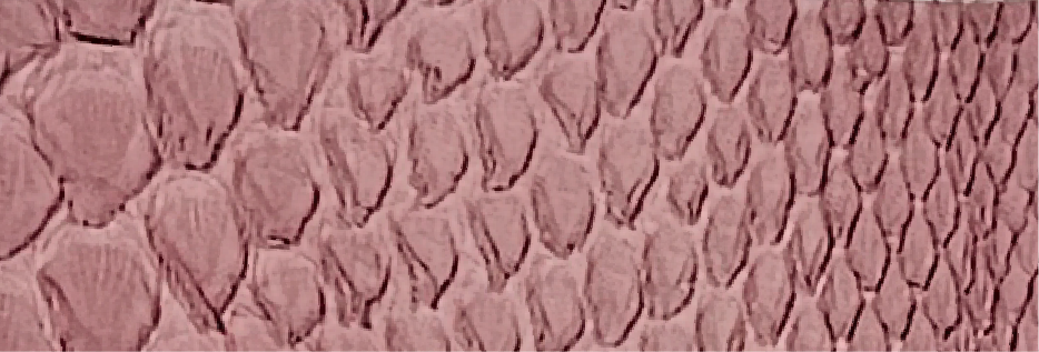 7-Light Pink MP-1102