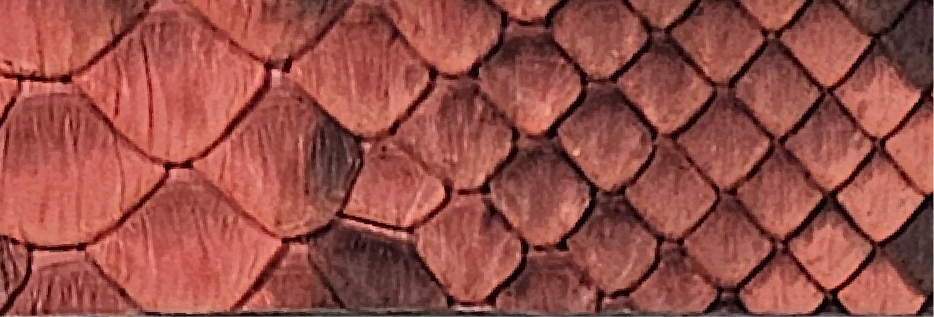 7-Orange ML-0901