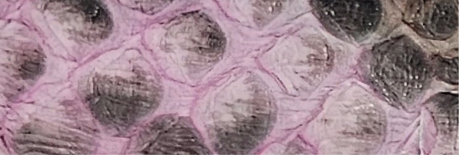 9-Pink ML-1101